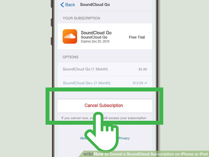 How Can I Cancel Subscriptions on My iPhone?