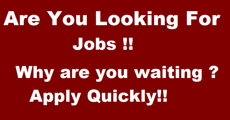 how-can-i-get-a-job-in-india-quickly