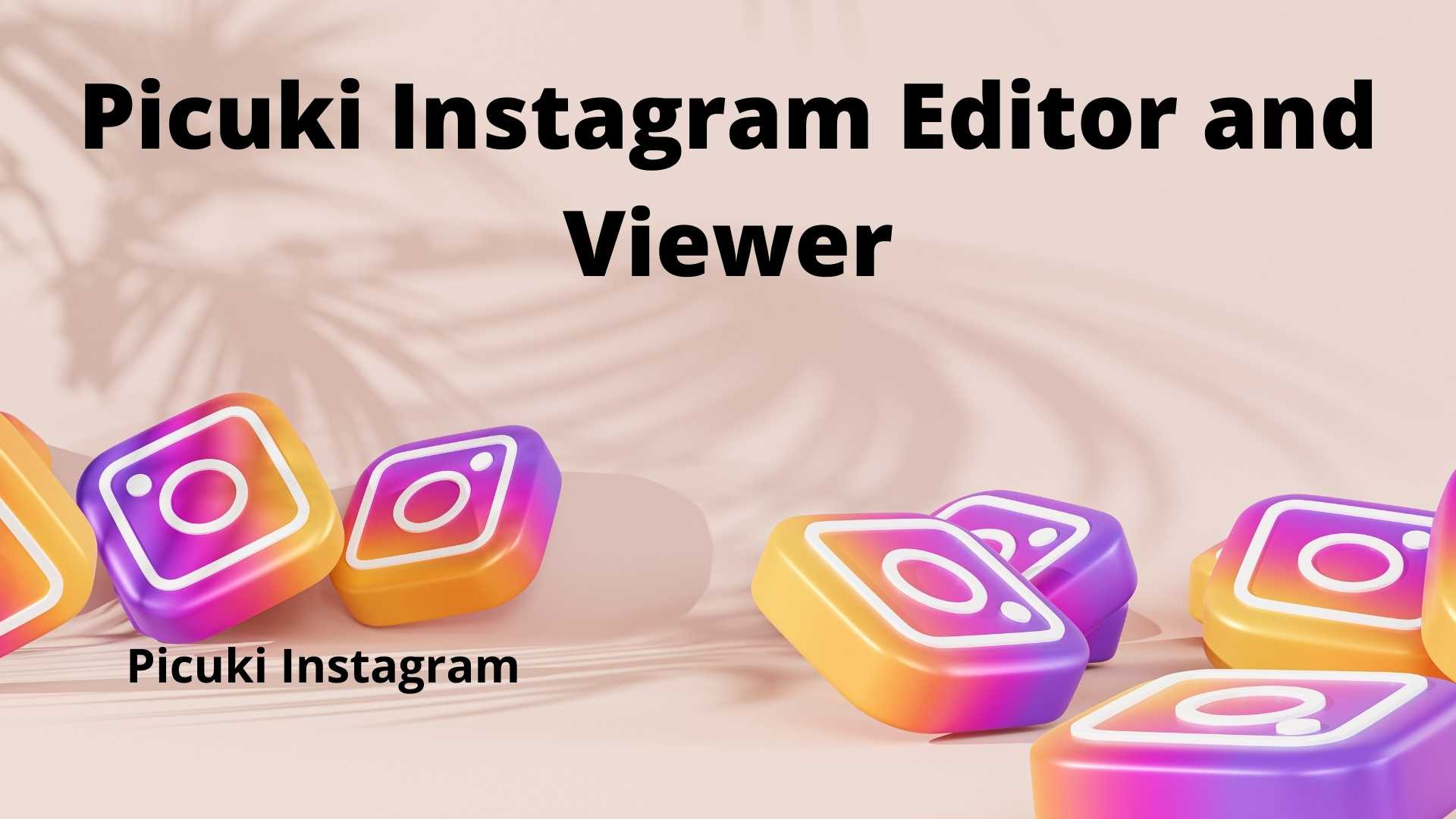 Picuki Instagram Editor and Viewer