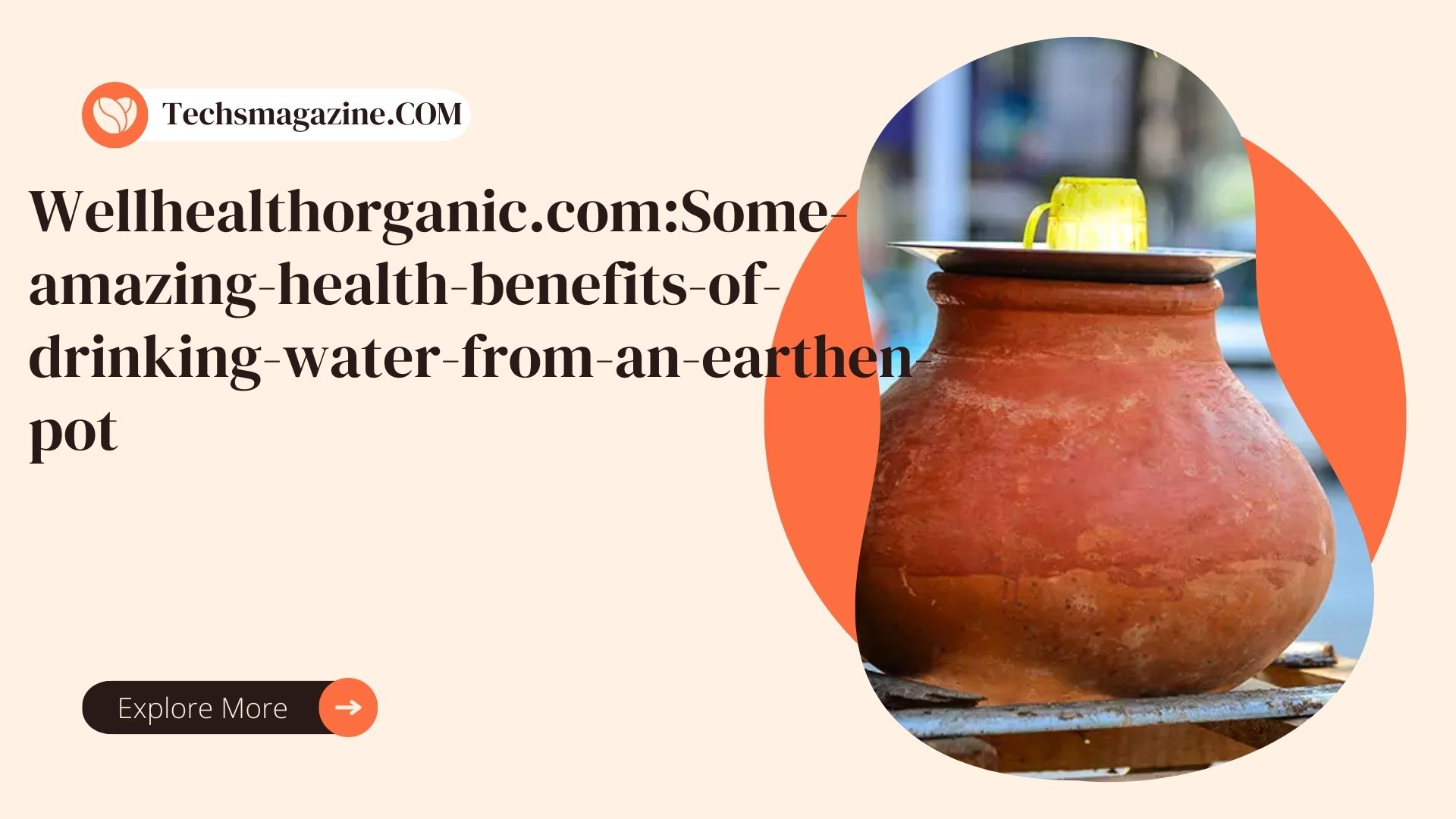 Wellhealthorganic.comSome-amazing-health-benefits-of-drinking-water-from-an-earthen-pot